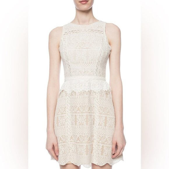 NWT Allsaints Melia Lace sleeveless mini Dress Size 6 in Oyster White - Picture 9 of 16